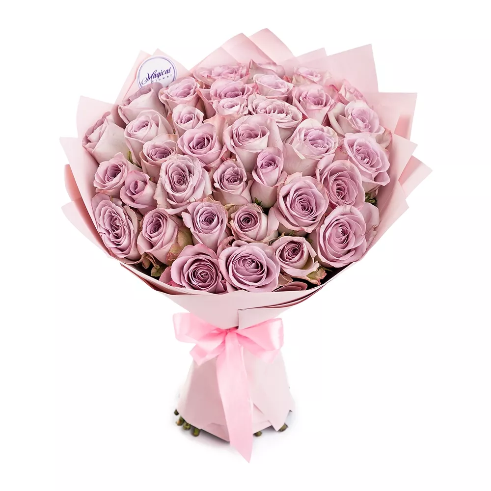 sirenevie.webp